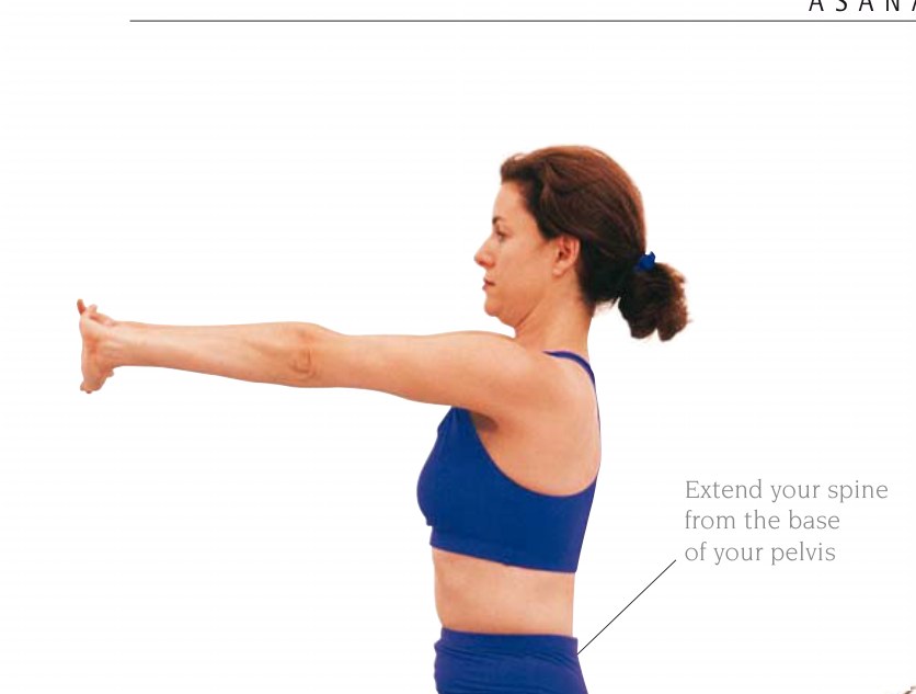 Virasana — nâng hai cánh tay