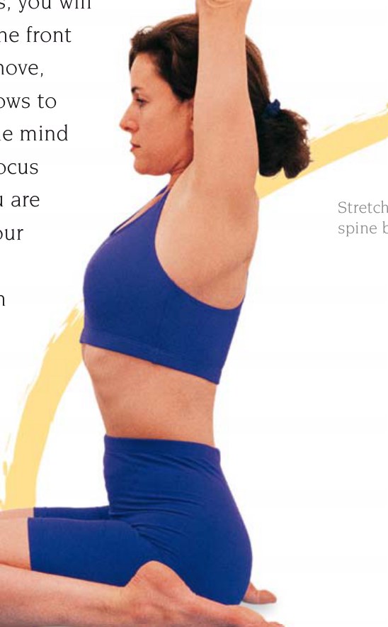 Virasana — giữ đầu thẳng