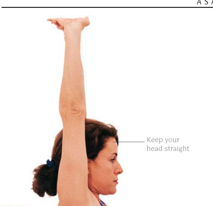 Virasana — mở rộng lồng ngực