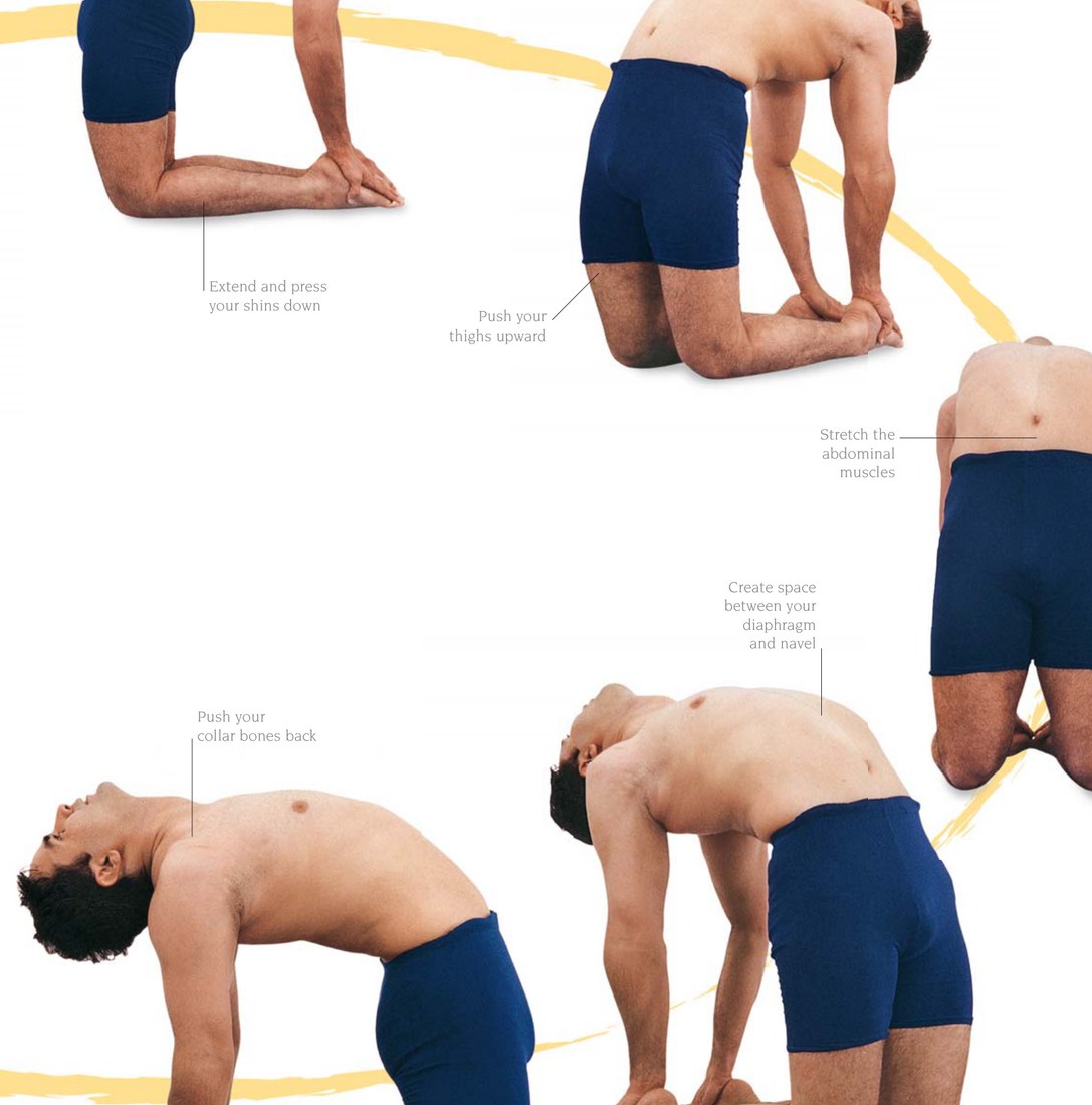 Urdhva Dhanurasana · Tư thế Cây Cung Ngửa