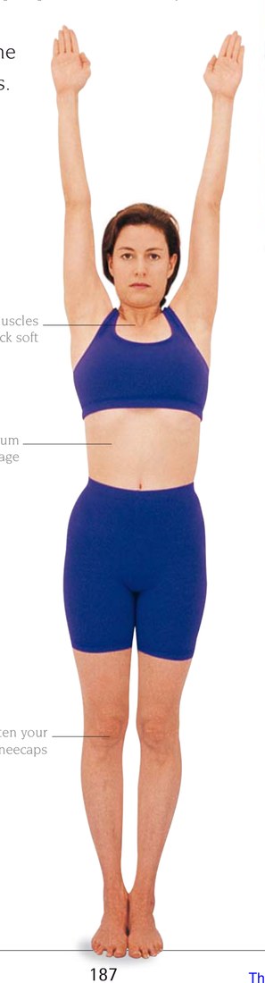 Căng thẳng và sự chuyển hóa