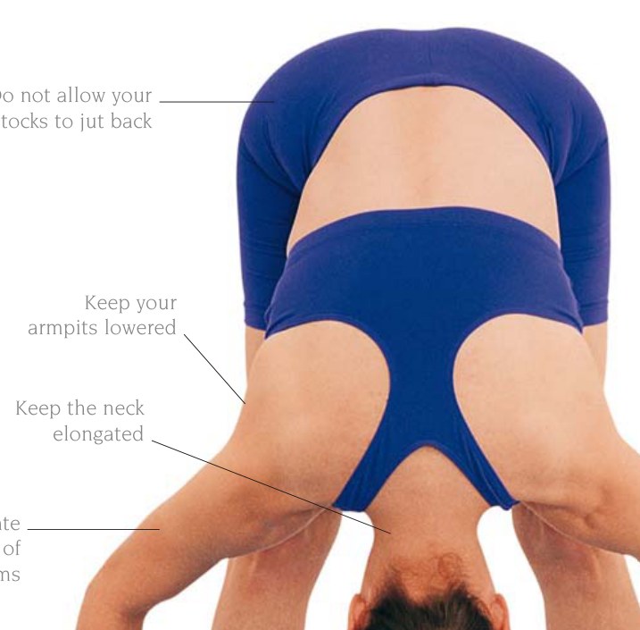 Urdhva Hastasana — chi tiết