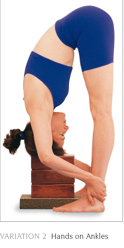 Urdhva Baddanguliasana — chi tiết