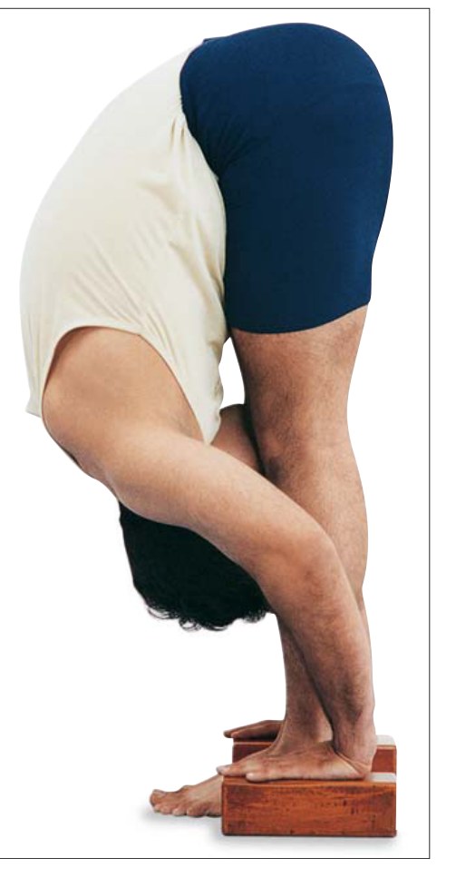 Paschima Baddha Hastasana