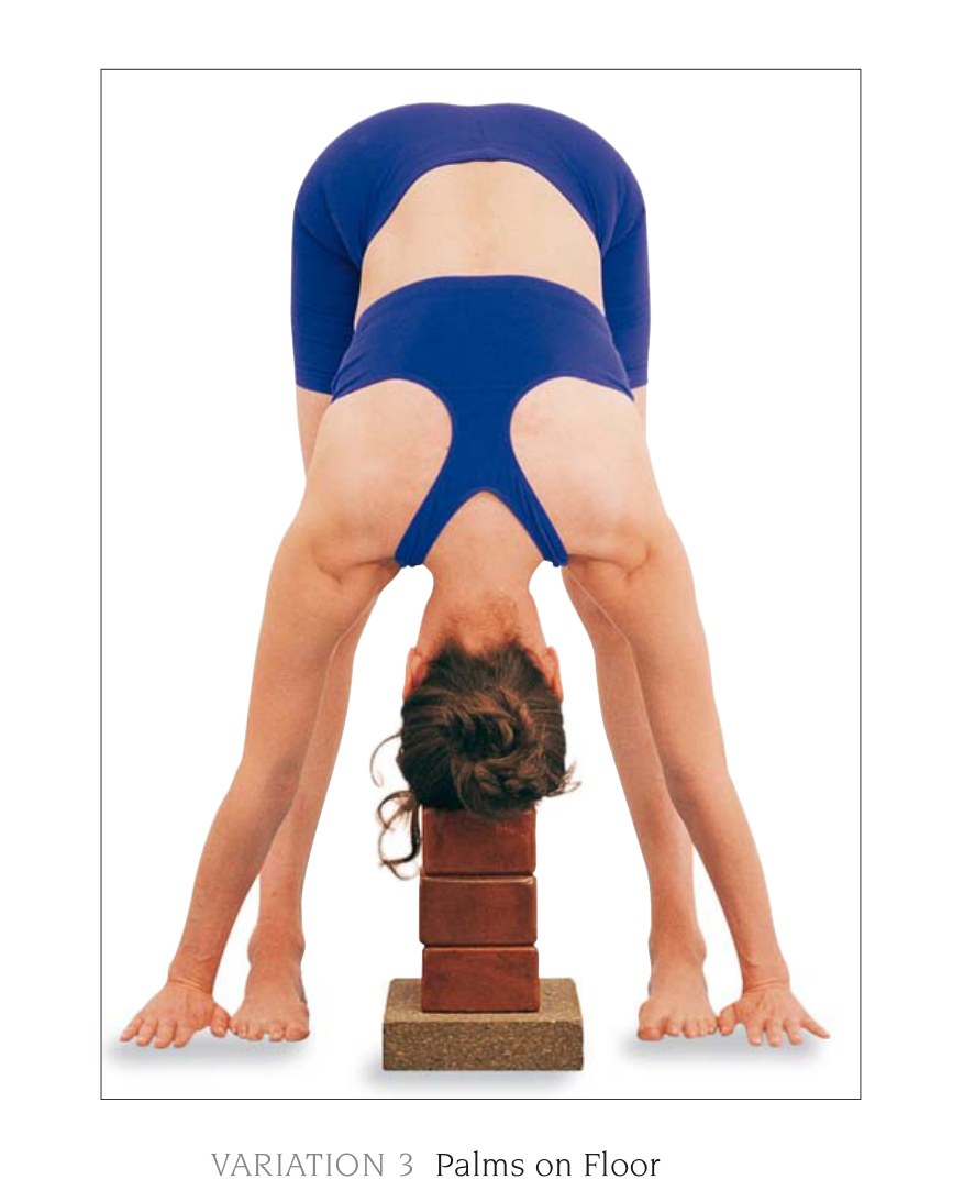 Paschima Baddha Hastasana — chi tiết