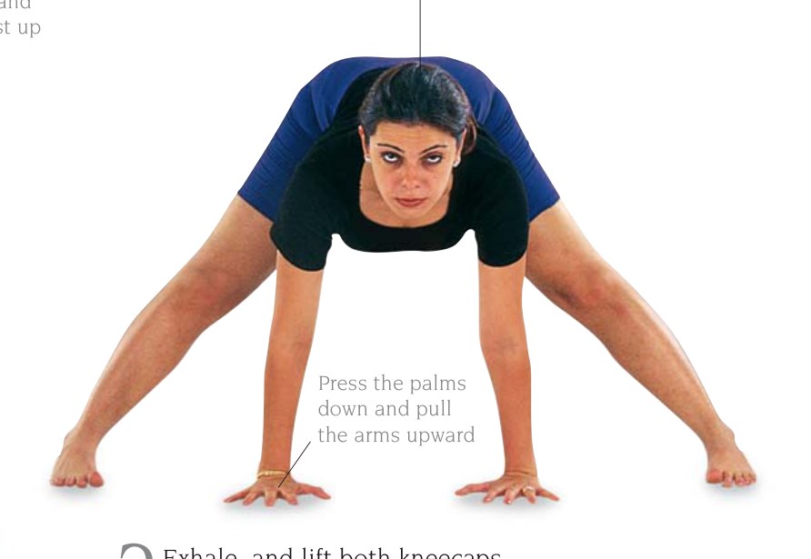 Tadasana Paschima Namaskarasana