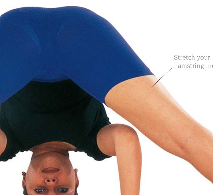 Utthita Trikonasana
