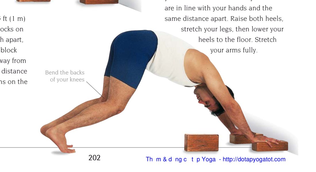 Trikonasana — chi tiết căn chỉnh