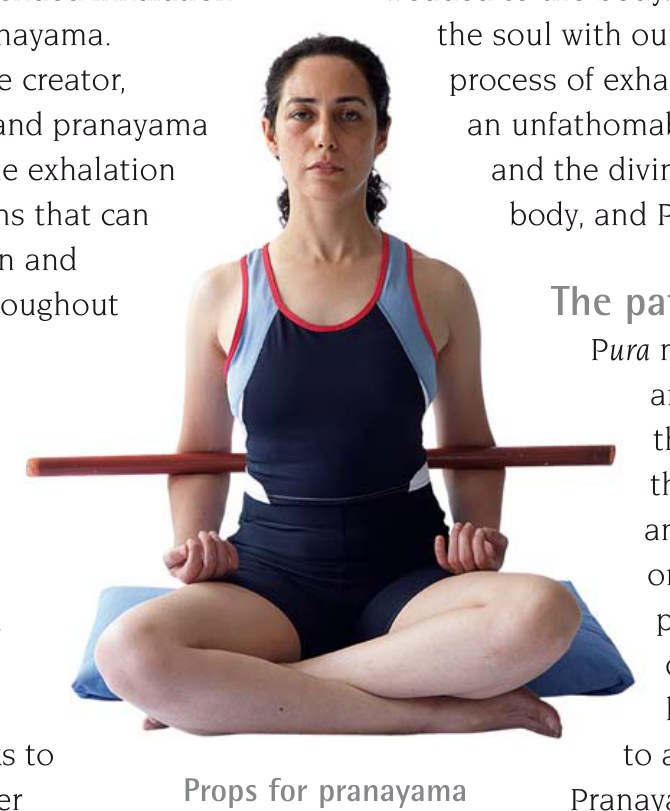 Sukhasana và Padmasana