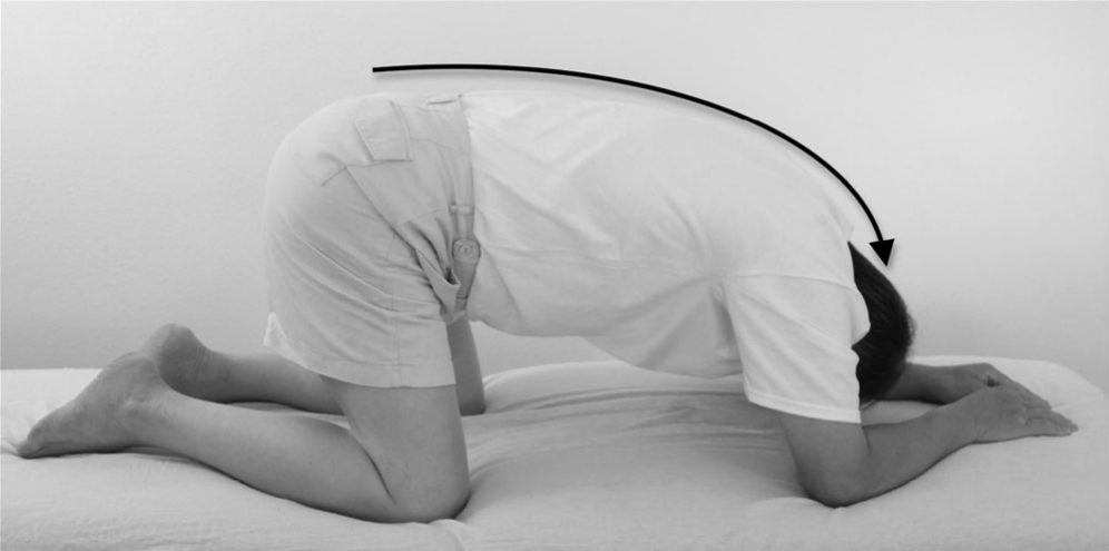 Bài 33 — Sóng cột sống
