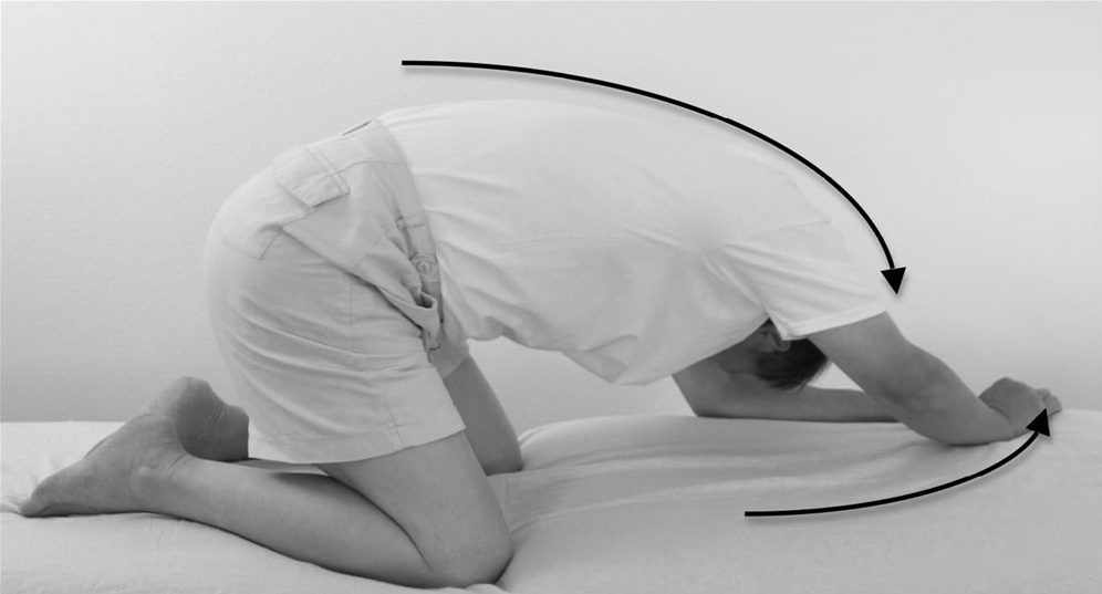 Bài 33 — Sóng cột sống