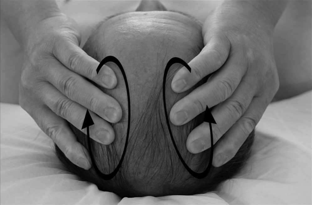 Bước 1 — Đỉnh đầu: hai lòng bàn tay xoa tròn trên da đầu