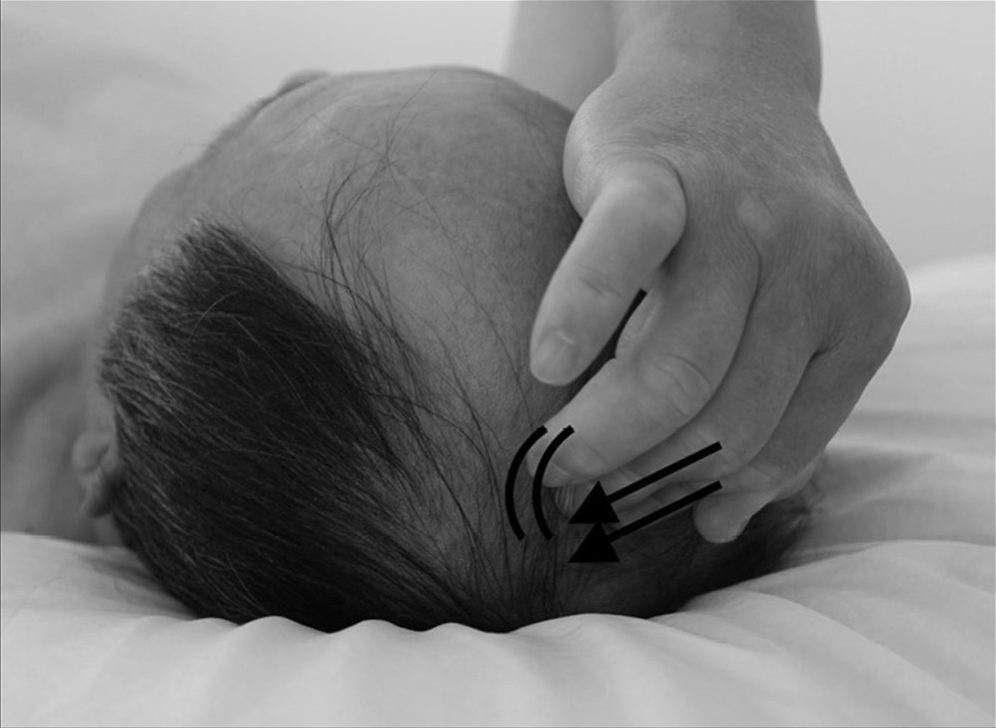 Bước 1 — Đỉnh đầu: ấn và rung huyệt Bách Hội