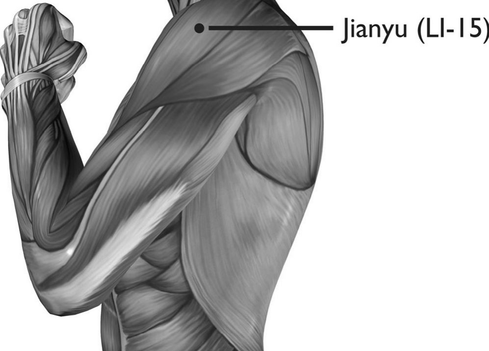 Huyệt jianyu (肩髃, LI-15)