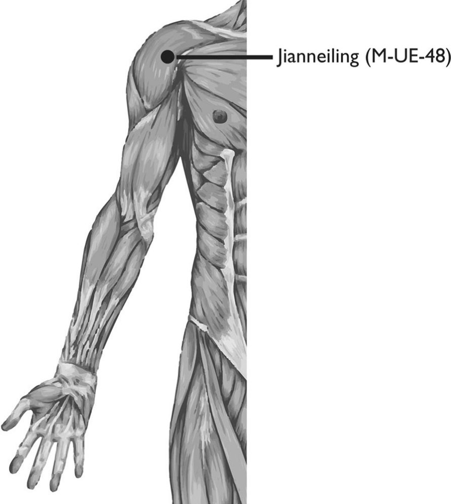 Huyệt jianneiling (肩內陵, M-UE-48)