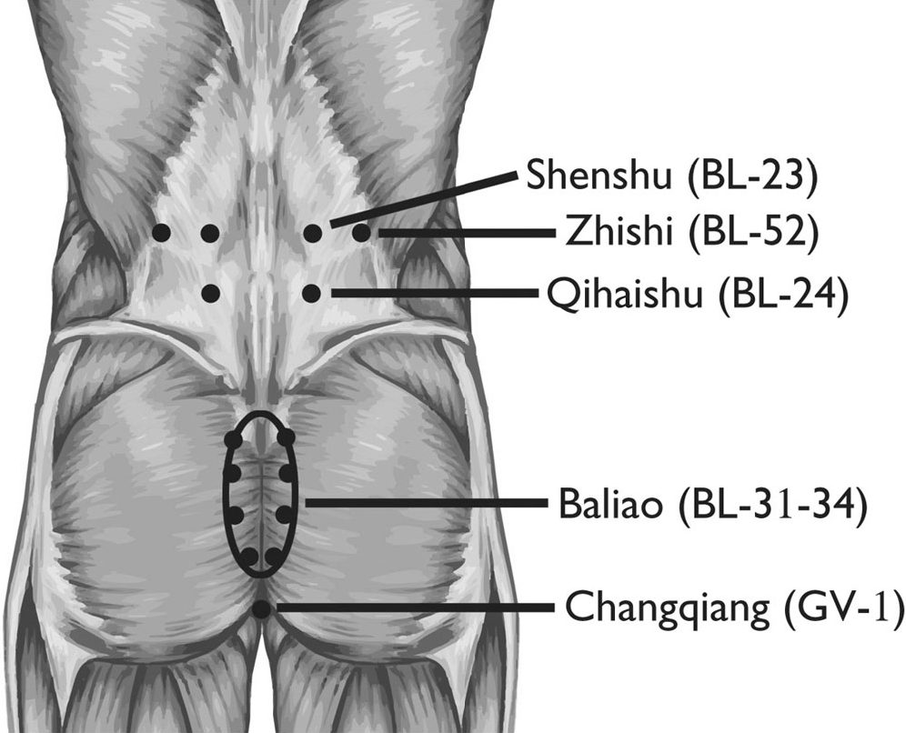 Huyệt shenshu (腎俞, BL-23)