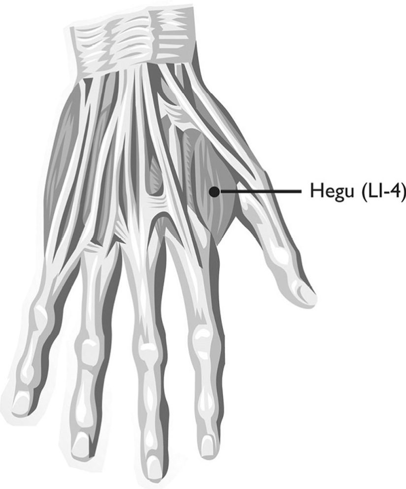 Huyệt Hợp Cốc (合谷, LI-4)