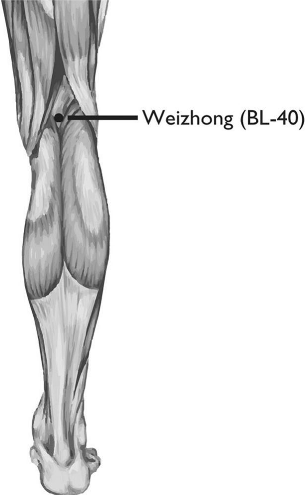 Huyệt Ủy Trung (委中, BL-40)