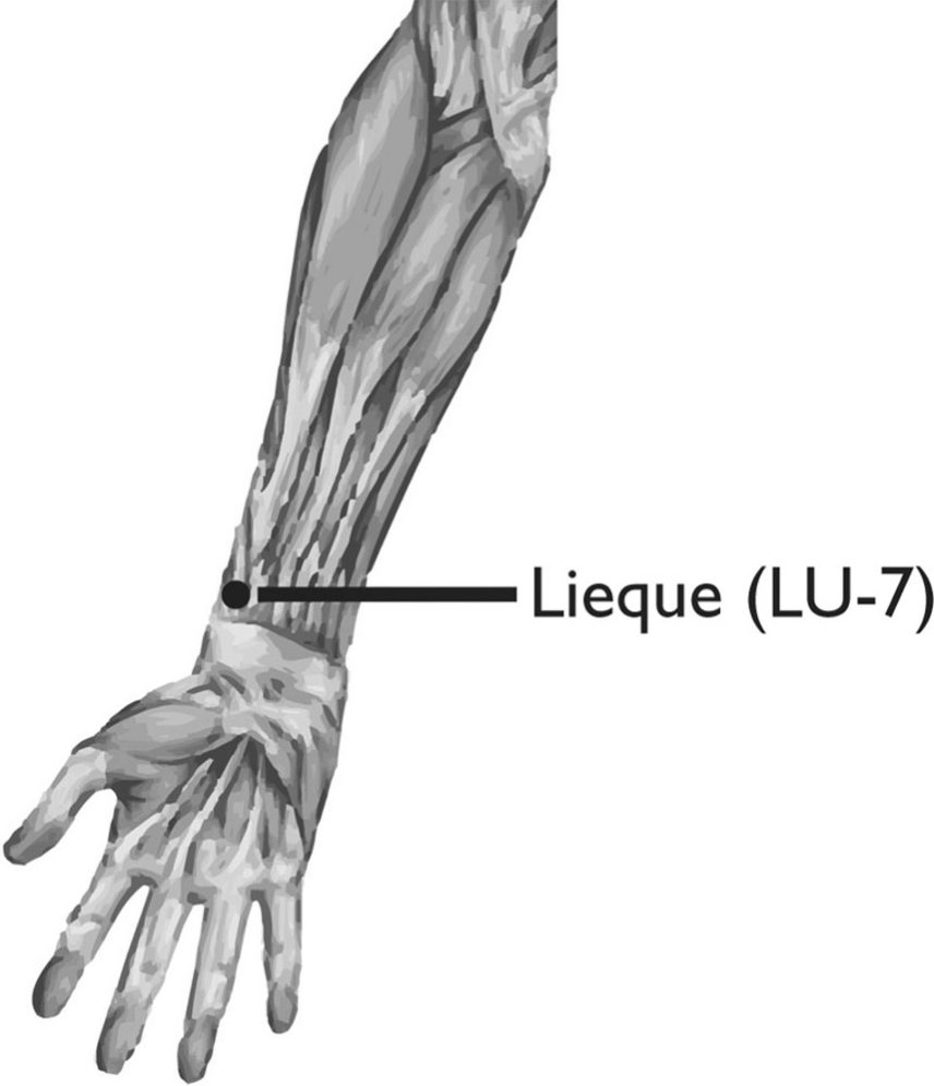 Huyệt Liệt Khuyết (列缺, LU-7)