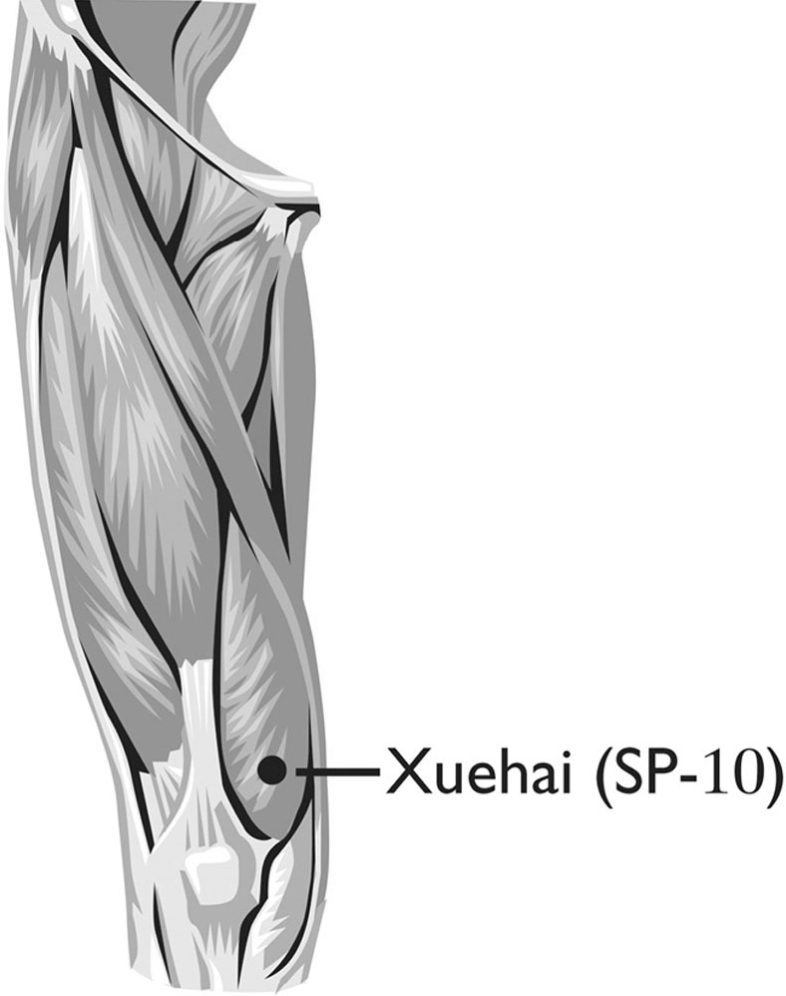 Huyệt Xuehai (血海, SP-10)