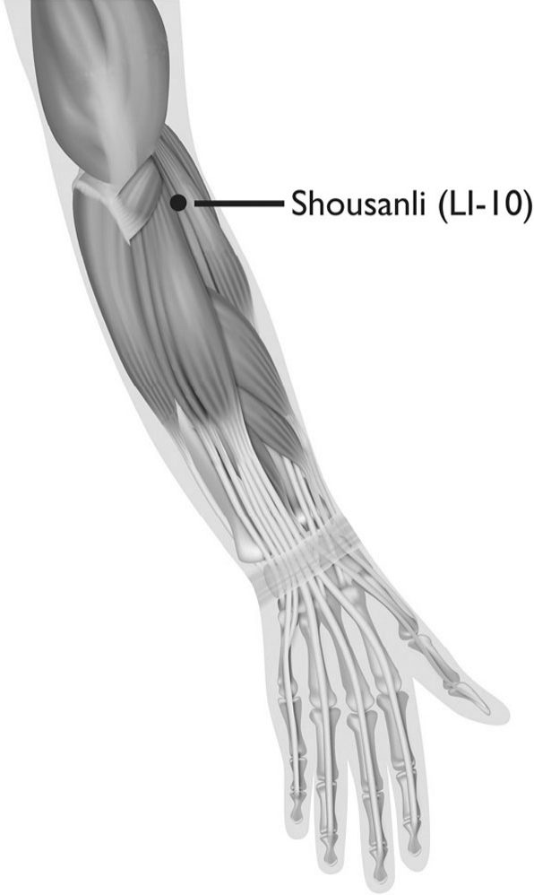 Huyệt Shousanli (手三里, LI-10)