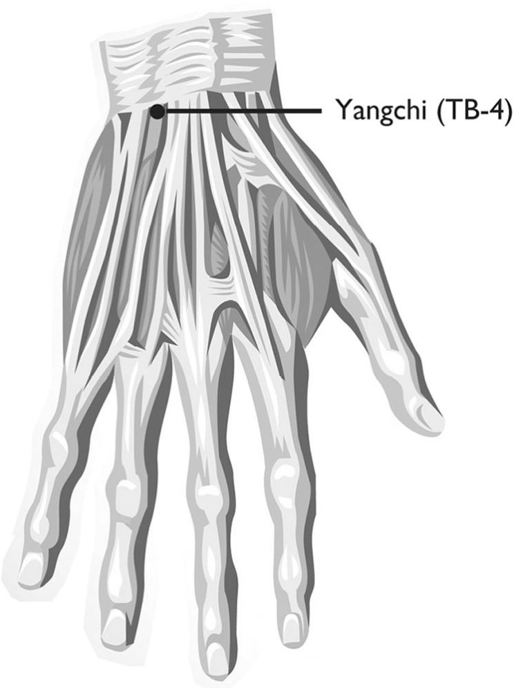 Huyệt Yangchi (陽池, TB-4)