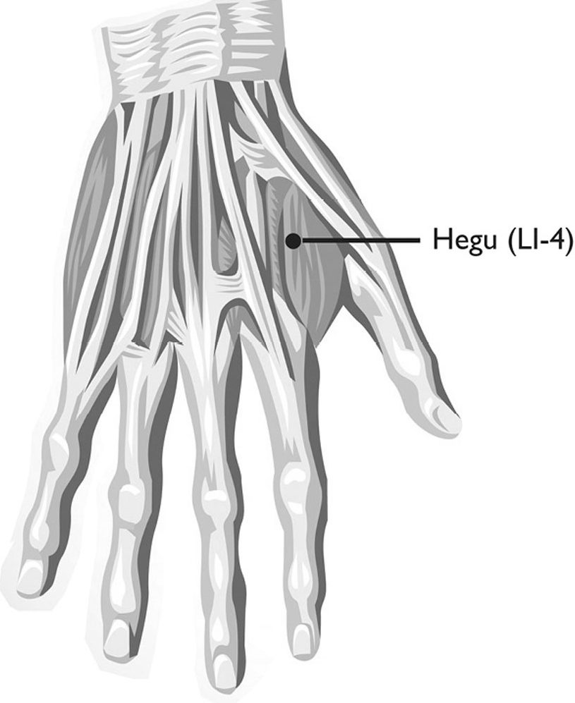 Huyệt Hợp Cốc (合谷, LI-4) (虎口, hukou)