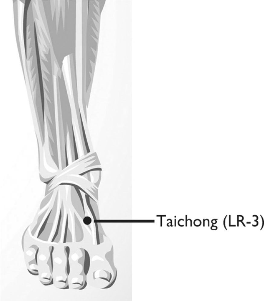Huyệt Taichong (太衝, LR-3)