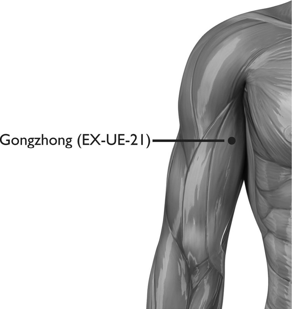 Huyệt Gongzhong (肱中, EX-UE-21)