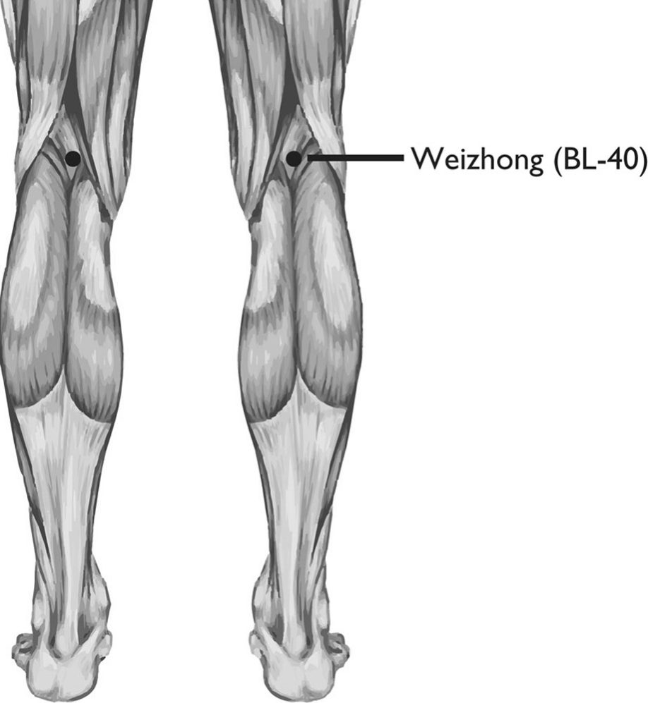 Huyệt Ủy Trung (委中, BL-40)