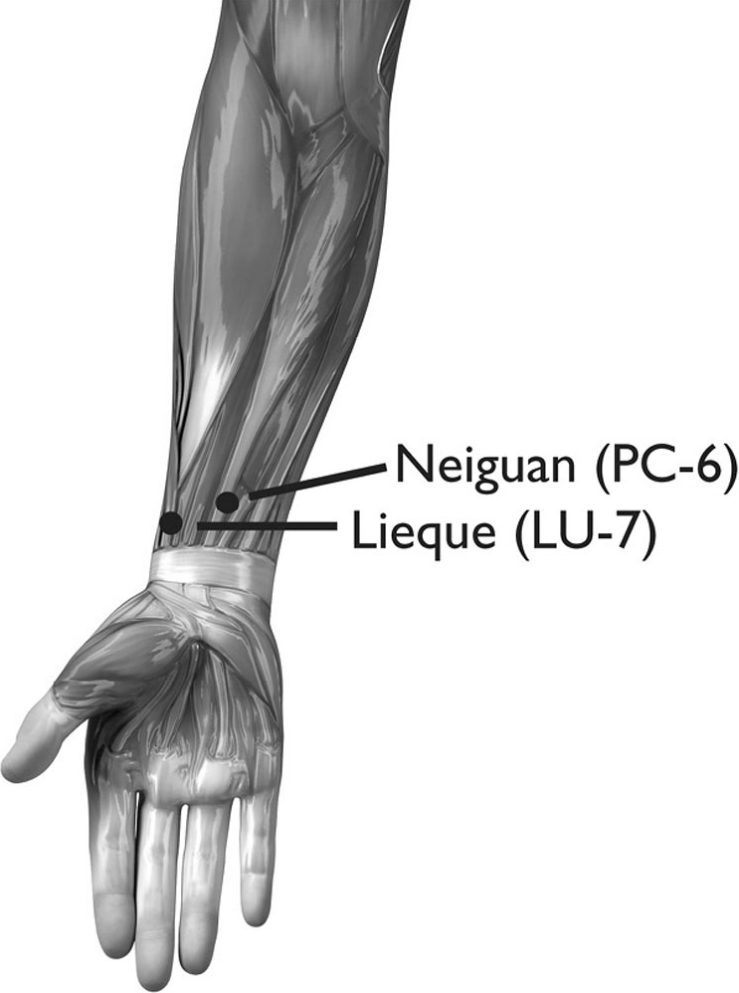 Huyệt Nội Quan (內關, PC-6) và Liệt Khuyết (列缺, LU-7)