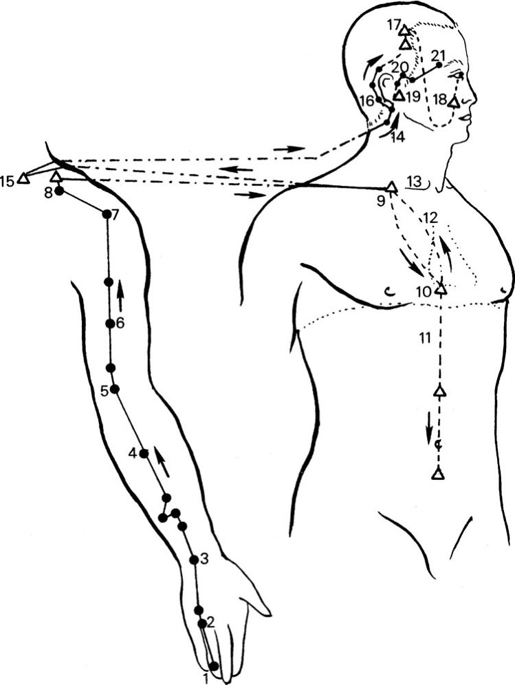 Kinh Thủ thiếu dương Tam tiêu