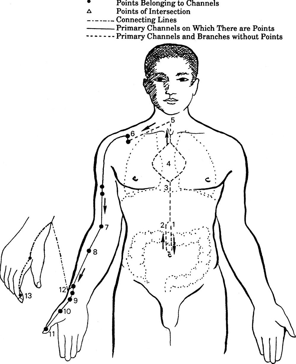 Kinh Thủ thái âm Phế