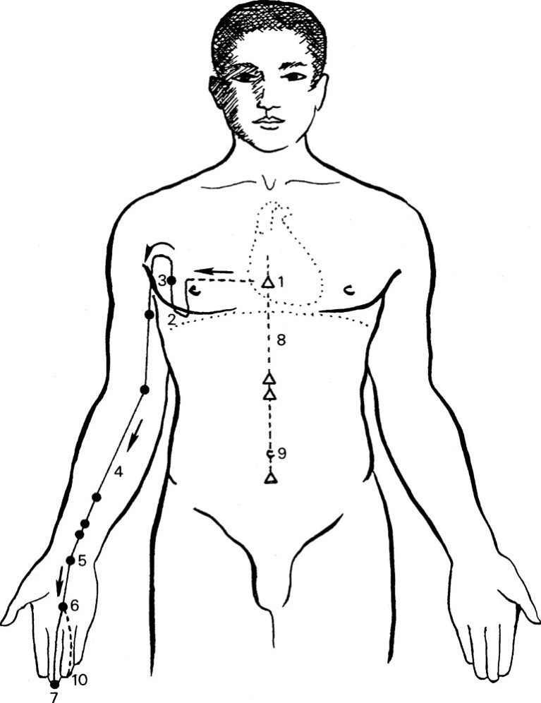 Kinh Thủ quyết âm Tâm bào lạc