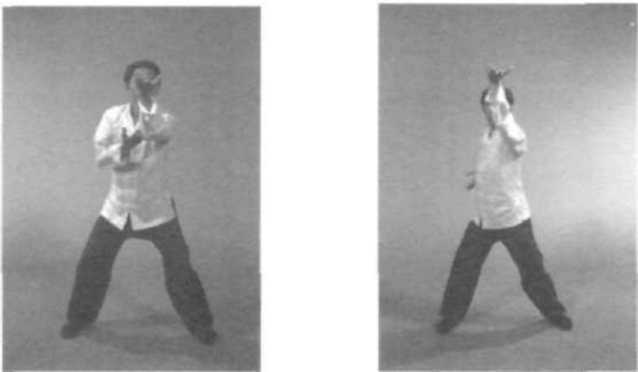 Nâng Chưởng bài chậm — các tư thế 4 đến 6