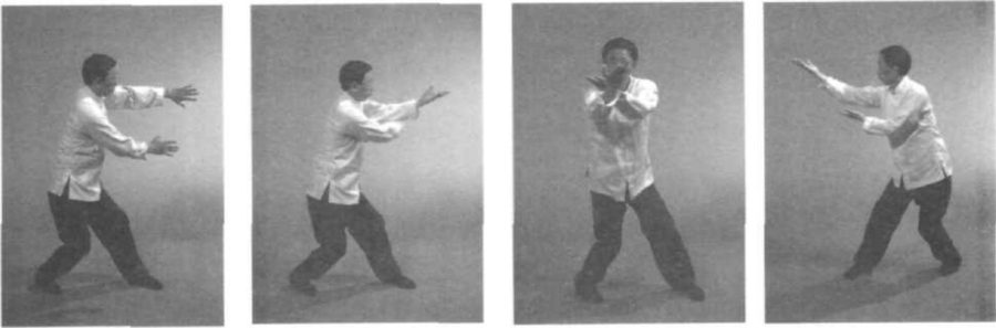 Trượt Song Cửa Sổ Ngắm Trăng Chưởng bộ chậm - chuỗi tư thế
