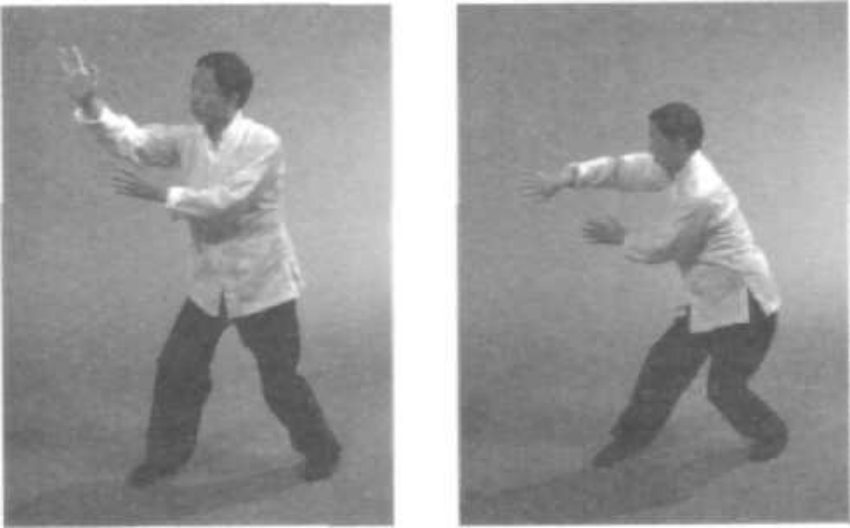 Trượt Song Cửa Sổ Ngắm Trăng Chưởng bộ chậm - chuỗi tư thế