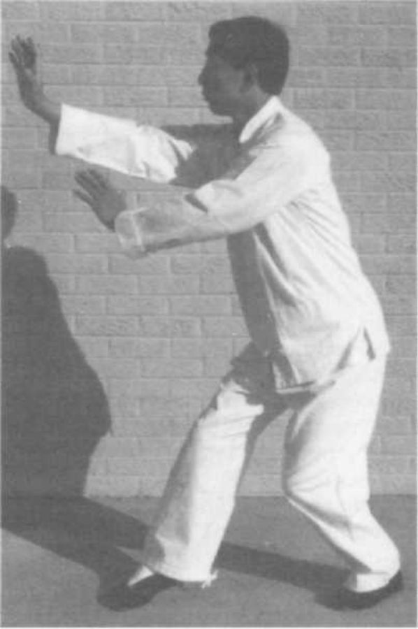 Tư thế trung bảo (Guard Stance)