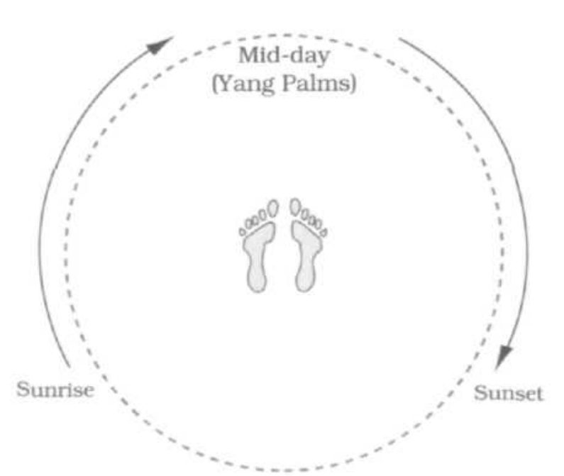 Sơ đồ Nửa đêm Vòng Tròn Phiến Chưởng bên phải