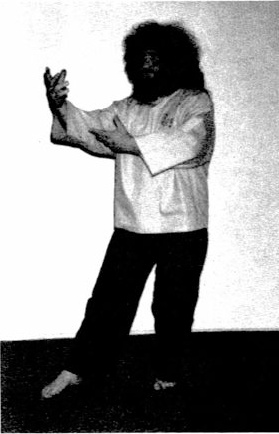 Khí Công Đứng Nâng Cao (Advanced Standing Qigong) — hình 8, ảnh gốc trang 16