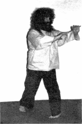 Đơn Tiên (Single Whip) — hình 22, ảnh gốc trang 30
