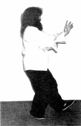 Nắm Đấm Dưới Cùi Chỏ (Fist Under Elbow) — hình 52, ảnh gốc trang 40