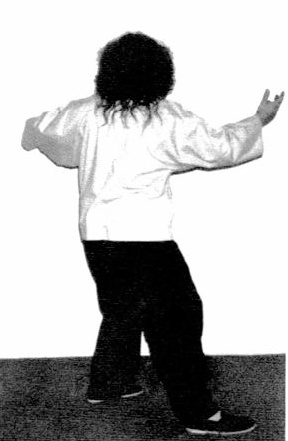 Lùi Bước, Đánh Lui Khỉ (Step Back, Repulse Monkey) — hình 55, ảnh gốc trang 41