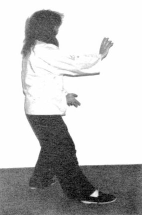 Lùi Bước, Đánh Lui Khỉ (Step Back, Repulse Monkey) — hình 54, ảnh gốc trang 41