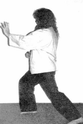 Đấm Móc Lên, Bước Tới, Gạt Đỡ và Đấm (Upper Cut, Step Forward, Parry, and Punch) — hình 62, ảnh gốc trang 44