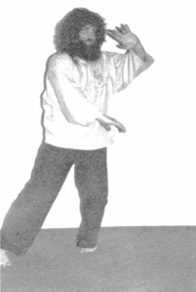 Vẫy Tay Như Mây (Wave Hands Like Clouds) — hình 66, ảnh gốc trang 45