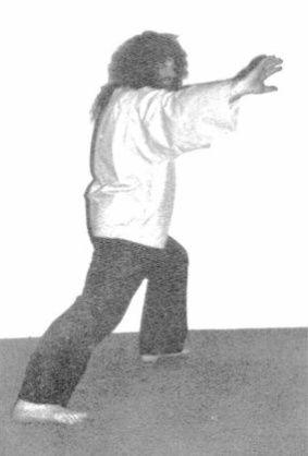 Phân Chân Phải (Đá Bằng Mu Bàn Chân Phải) (Separation of Right Leg (Right Instep Kick)) — hình 74, ảnh gốc trang 48