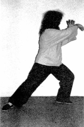 Rắn Bò Xuống (Snake Creeps Down) — hình 127, ảnh gốc trang 66