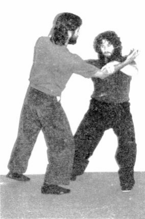 Tấn Công và Phòng Thủ Bổ Trợ Trong Đẩy Tay (Supplementary Push-Hands Attacks and Defense) — hình 170, ảnh gốc trang 87
