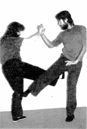Các Kỹ Thuật Đá Khác (Other Kicking Techniques) — hình 178, ảnh gốc trang 89